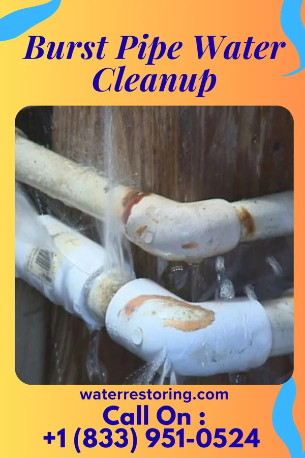 Burst Pipe Water Cleanup in Ellsworth, WI