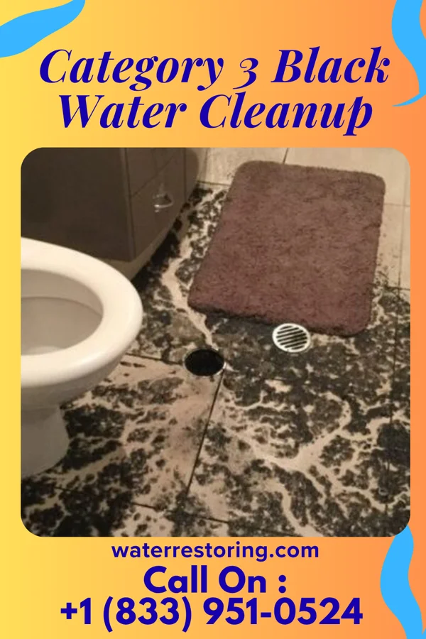 Category 3 Black Water Cleanup in Ellsworth, WI