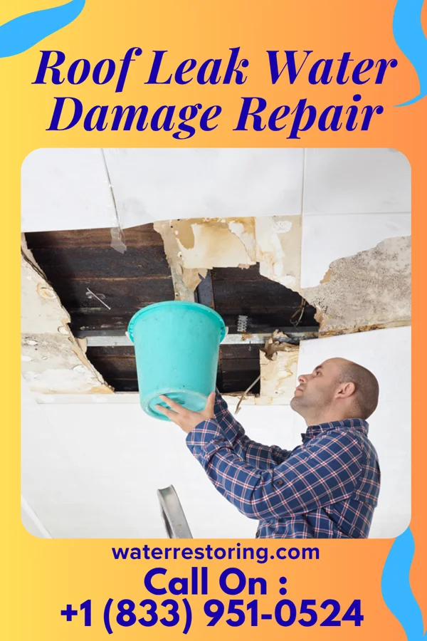 Roof Leak Water Damage Repair in Ellsworth, WI