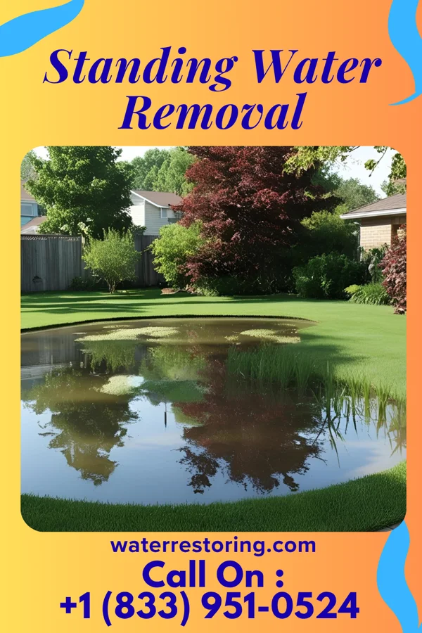 Standing Water Removal in Ellsworth, WI